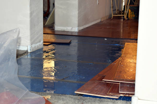 Professional Flood Cleanup technician working in Thompson, ND